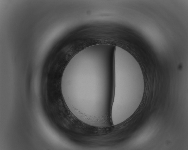 X0000094800383200711160946