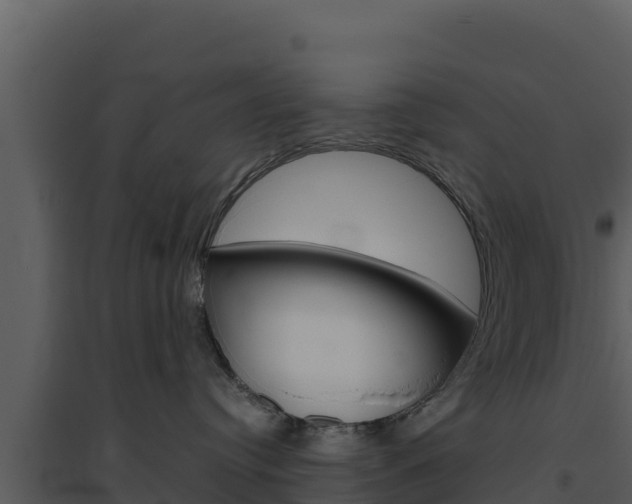 X0000094800384200711160946