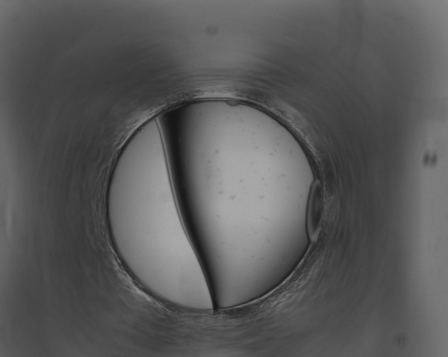 X0000094800385200711160945