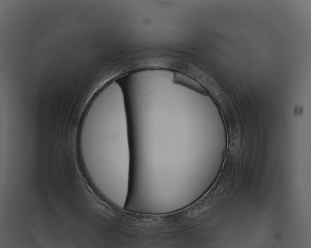 X0000094800386200711160945
