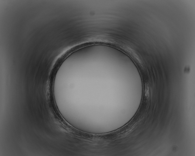 X0000094800388200711160945