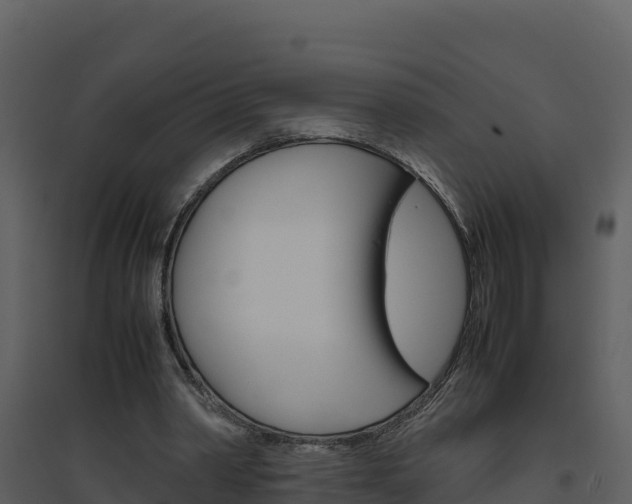 X0000094800390200711160945