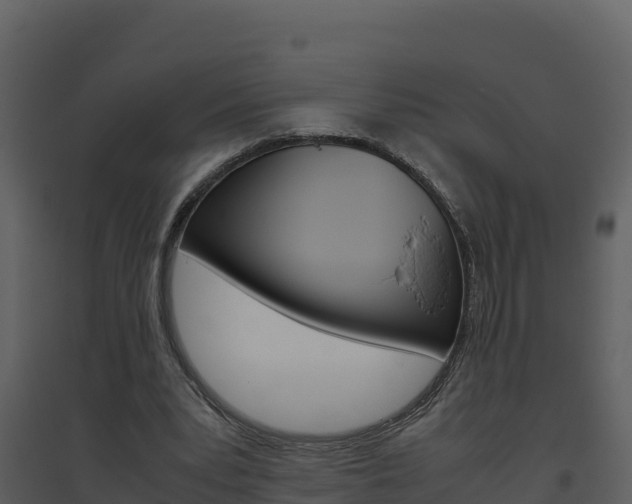 X0000094800391200711160945