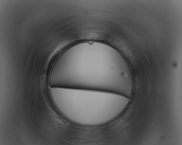 X0000094800392200711160945