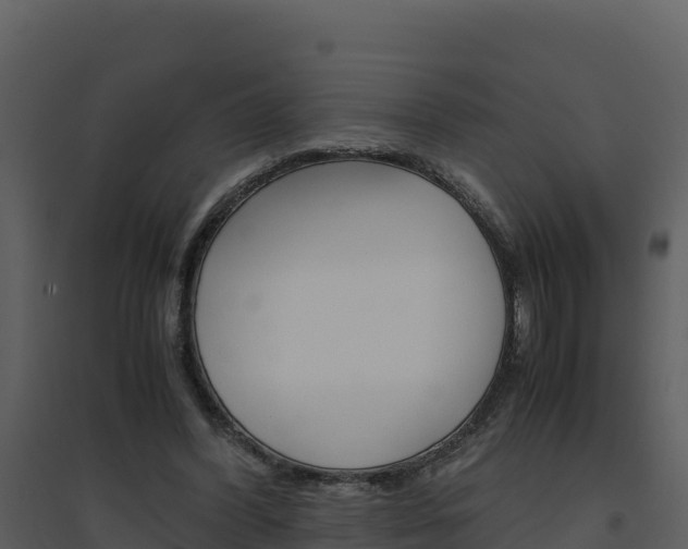 X0000094800396200711160945
