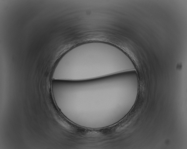 X0000094800397200711160945
