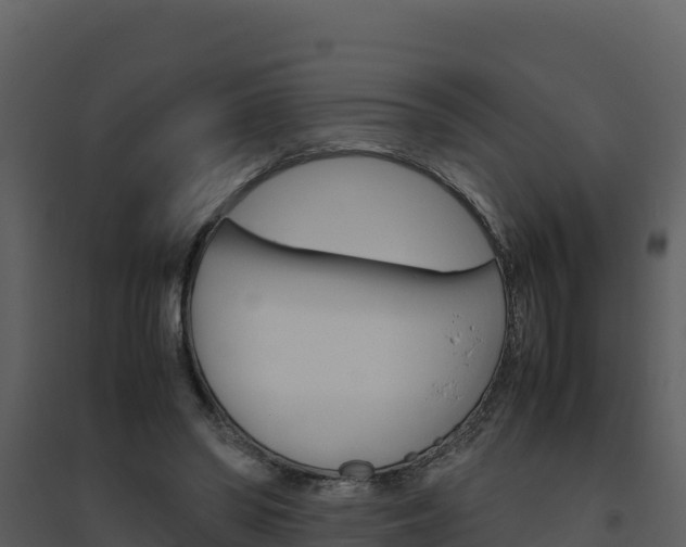 X0000094800398200711160945