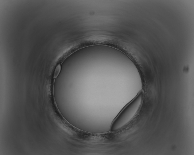 X0000094800399200711160945