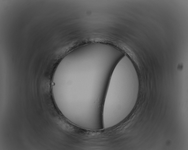 X0000094800401200711160945