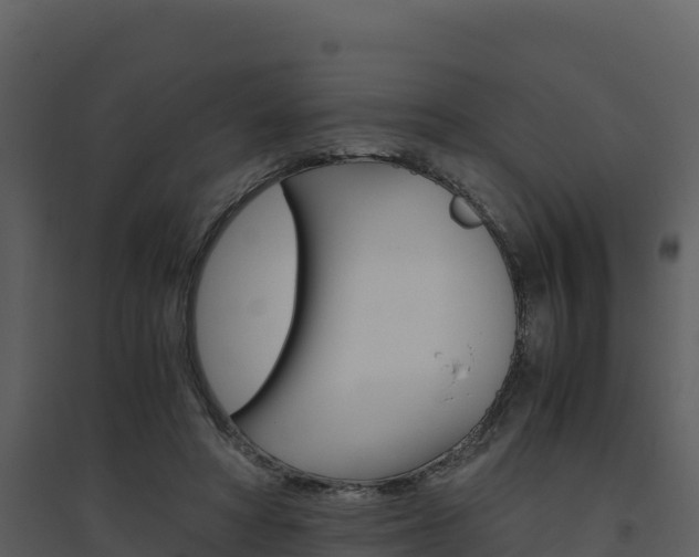 X0000094800402200711160945