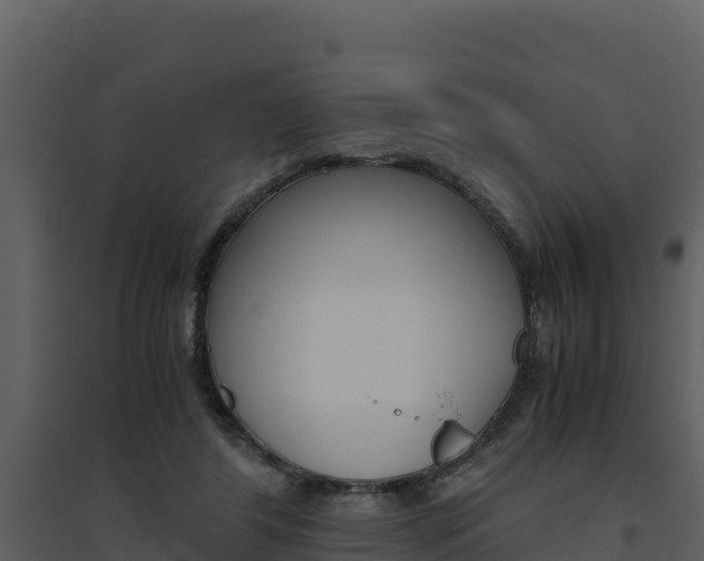 X0000094800404200711160945