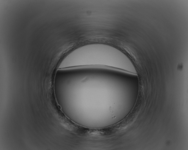 X0000094800407200711160945