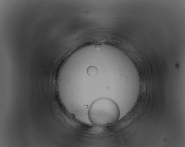 X0000094800418200711160945