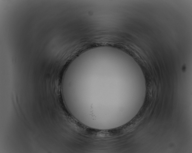 X0000094800420200711160945