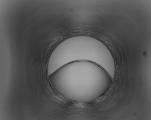 X0000094800423200711160945