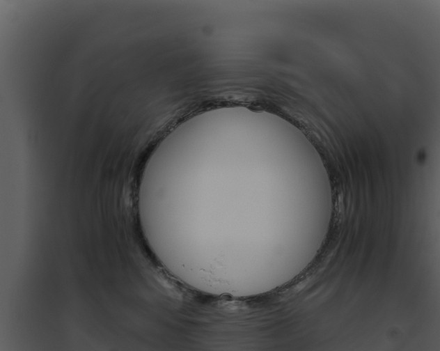 X0000094800424200711160945