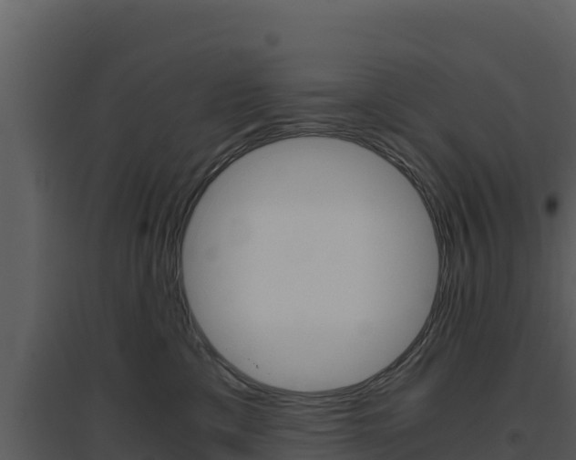 X0000094800425200711160945