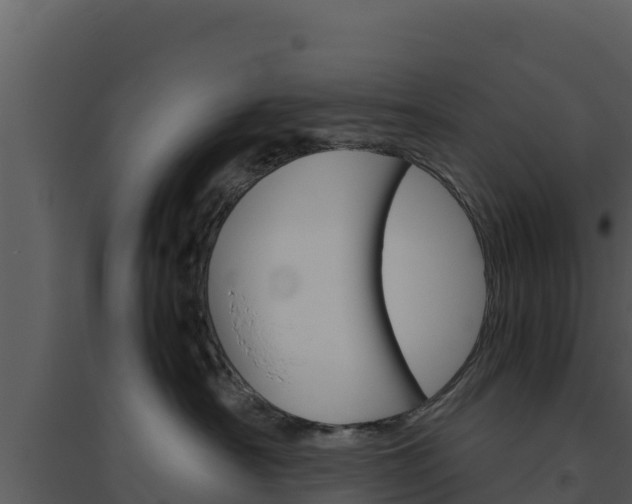 X0000094800430200711160945