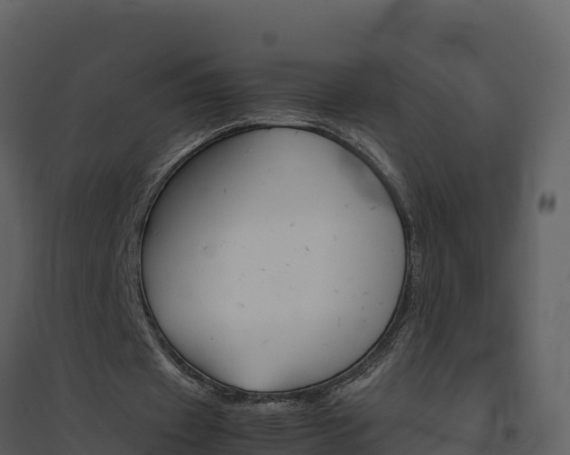 X0000094800433200711160944
