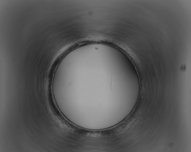 X0000094800440200711160944
