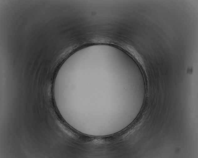 X0000094800441200711160944