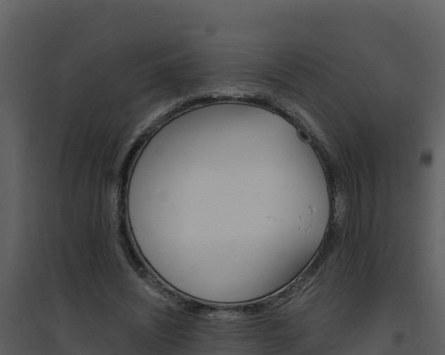 X0000094800444200711160944