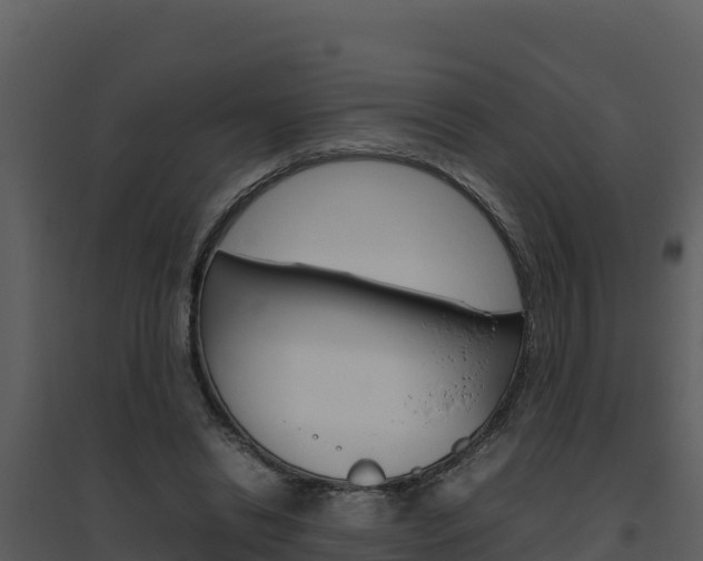 X0000094800446200711160944
