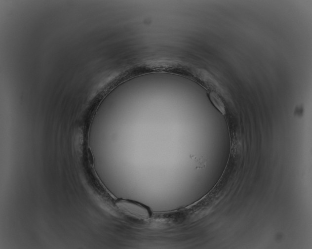 X0000094800448200711160944