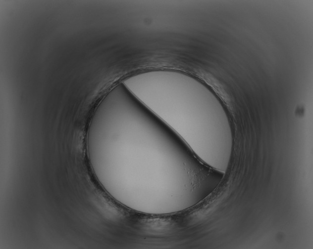 X0000094800449200711160944
