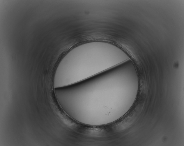 X0000094800453200711160944