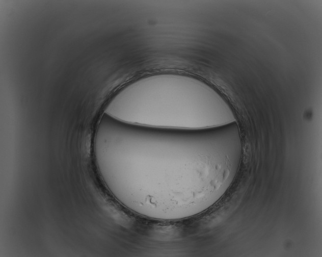 X0000094800454200711160944