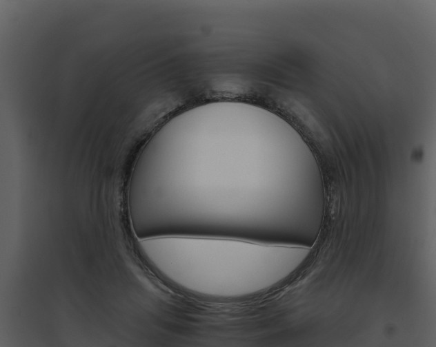 X0000094800455200711160944