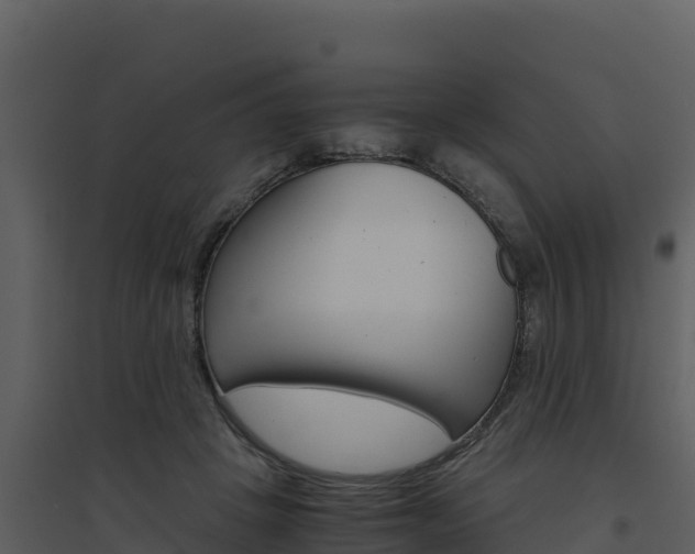 X0000094800457200711160944