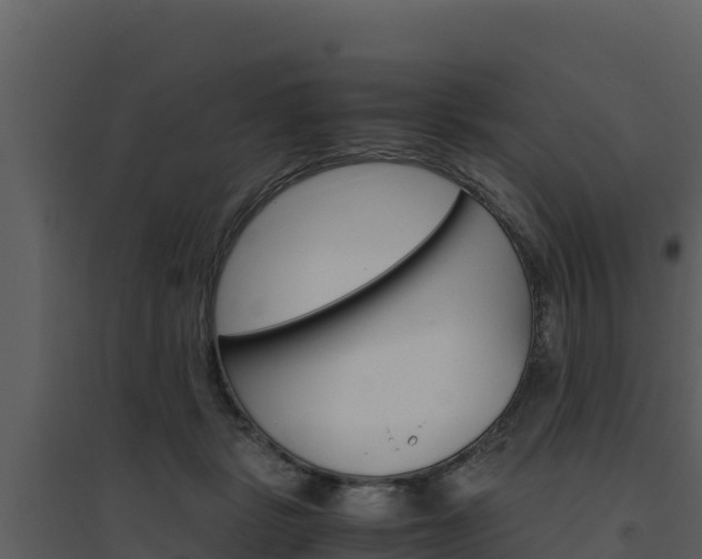 X0000094800461200711160944