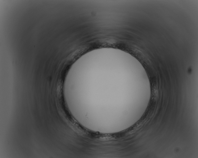 X0000094800468200711160945