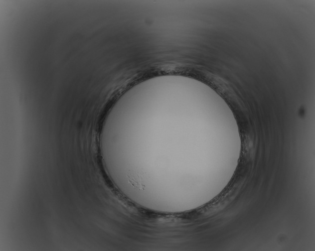 X0000094800470200711160945