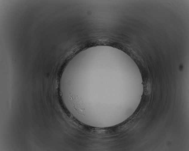 X0000094800472200711160945