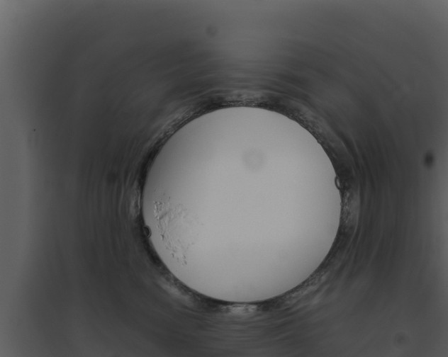 X0000094800474200711160945