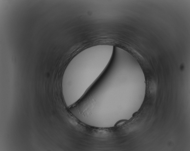 X0000094800475200711160945