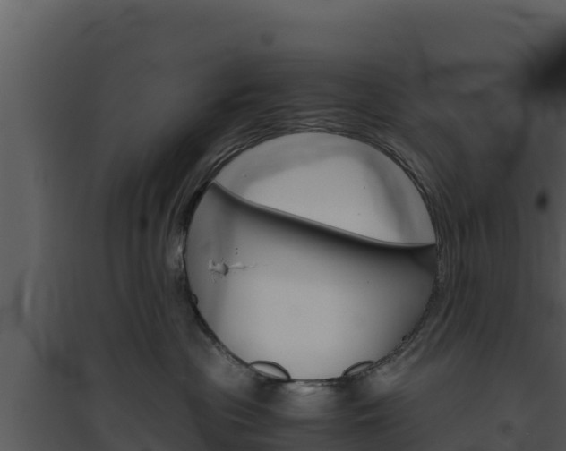 X0000094800477200711160945