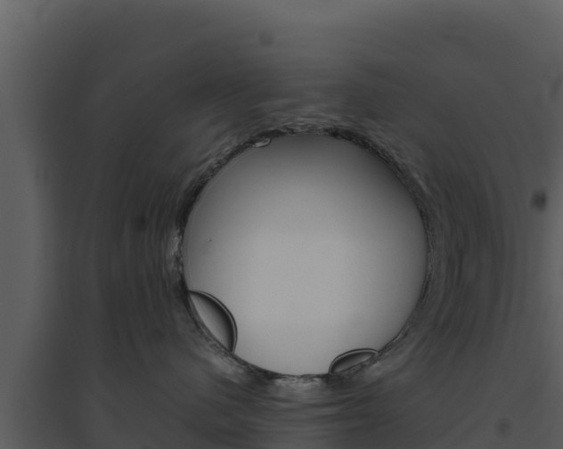 X0000094800480200711160945