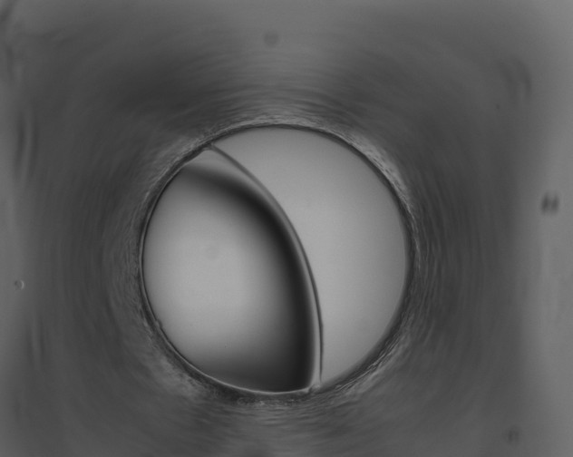 X0000094800481200711160944