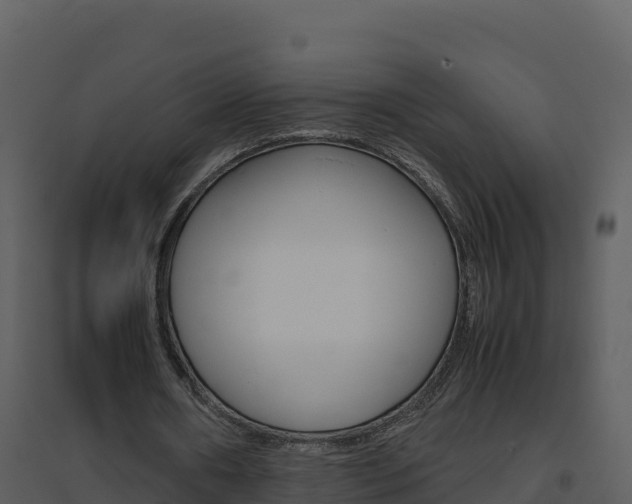 X0000094800482200711160944