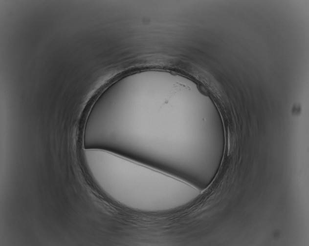 X0000094800483200711160944