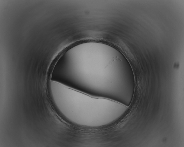 X0000094800484200711160944
