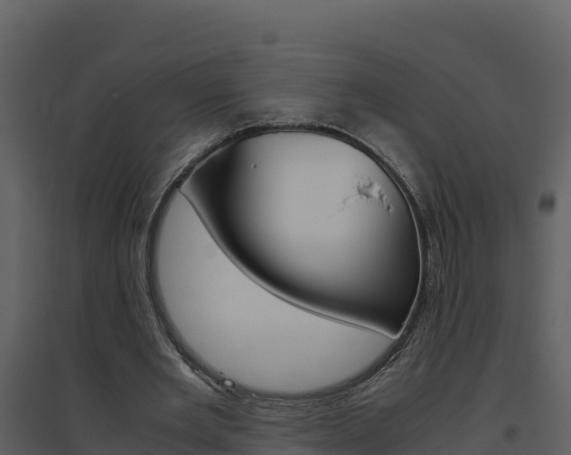 X0000094800485200711160944