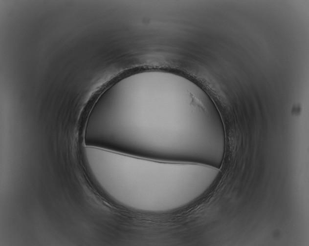 X0000094800488200711160944