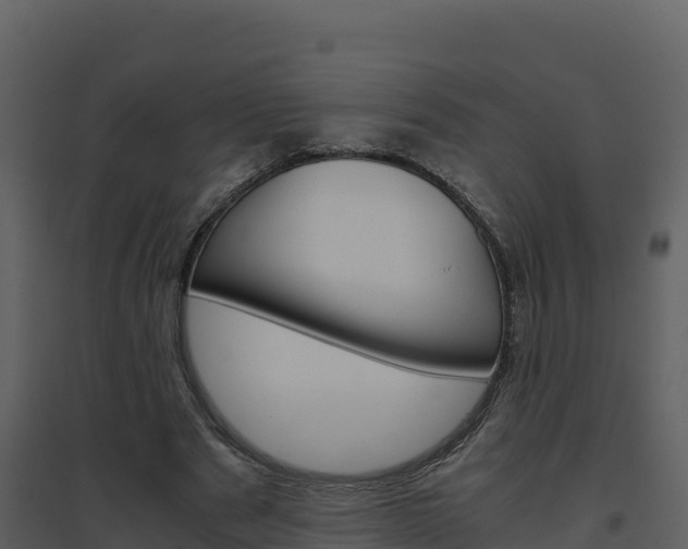 X0000094800489200711160944