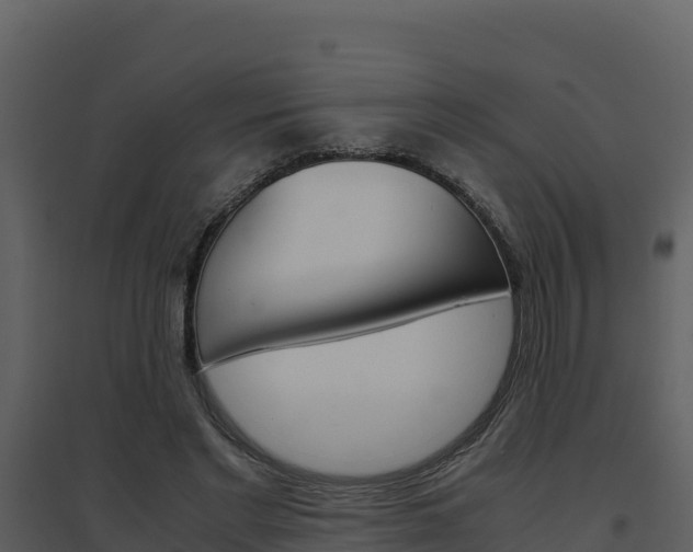 X0000094800493200711160944