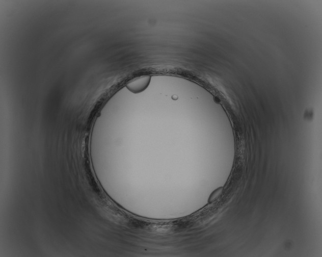 X0000094800495200711160944